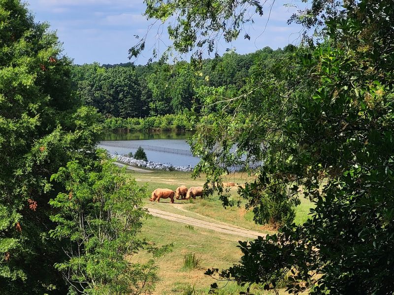 The World's Largest Natural Habitat Zoo