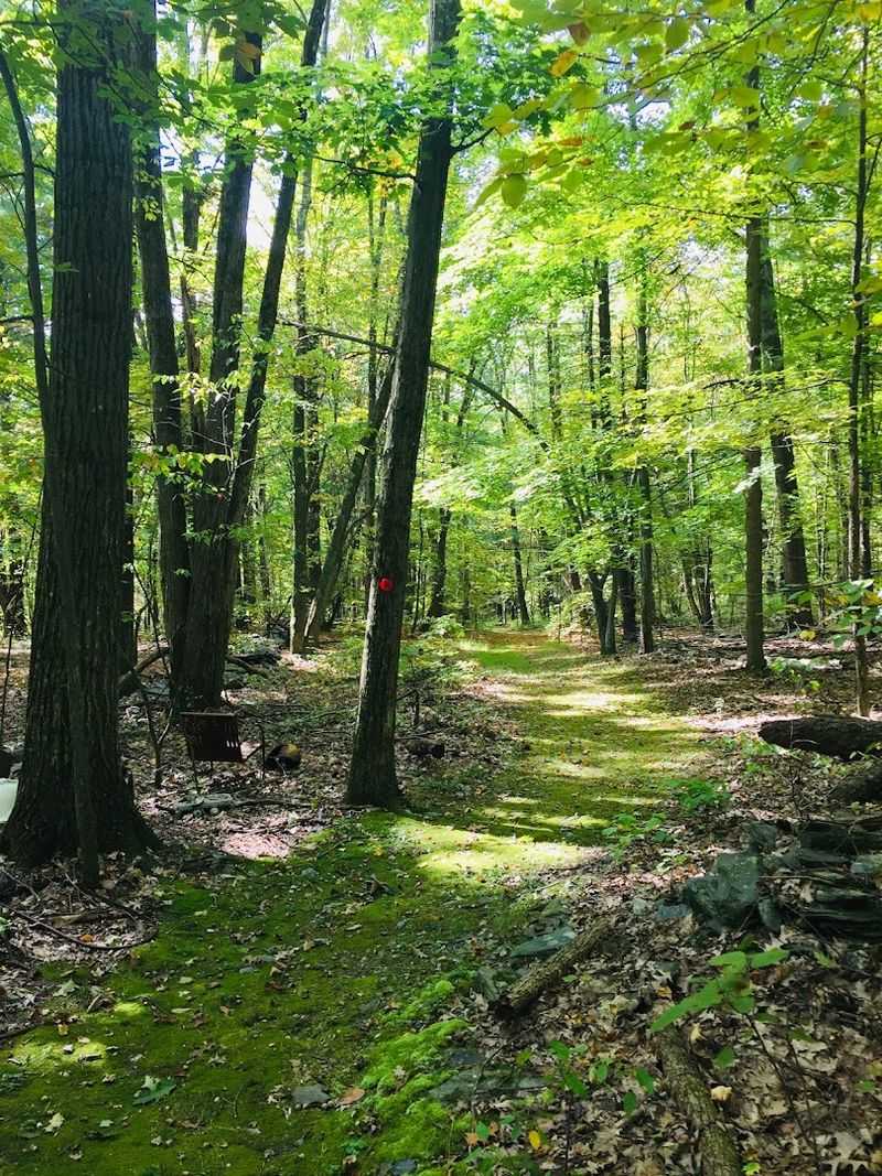 Rheinstrom Hill Audubon Center and Sanctuary