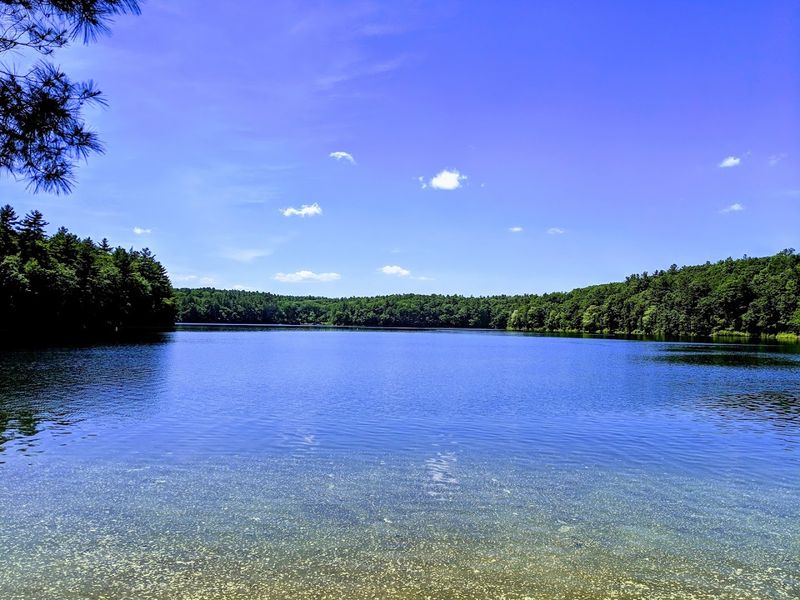 Walden Pond State Reservation - Concord