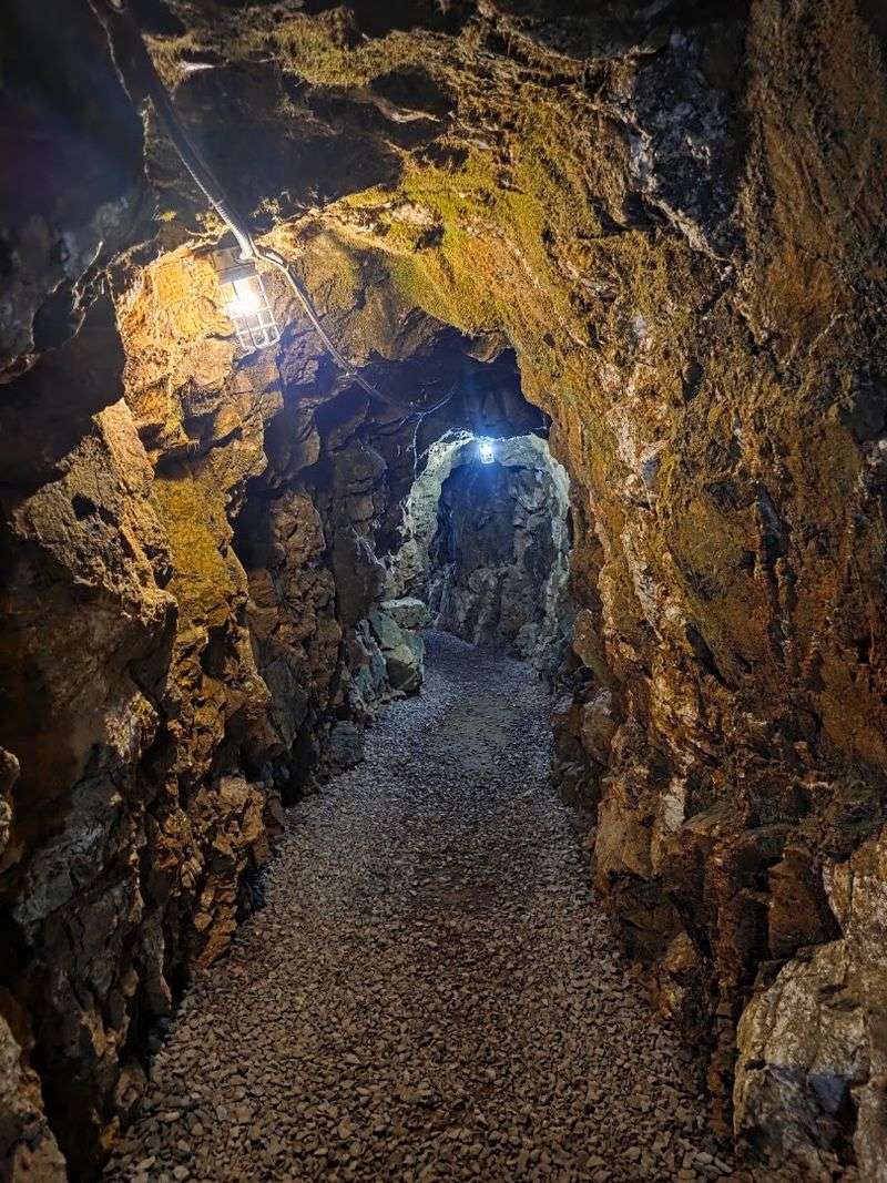 Reed Gold Mine State Historic Site