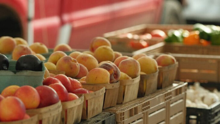 These 10 Pennsylvania Markets Are The Best Places To Buy Farm-Fresh Fruit