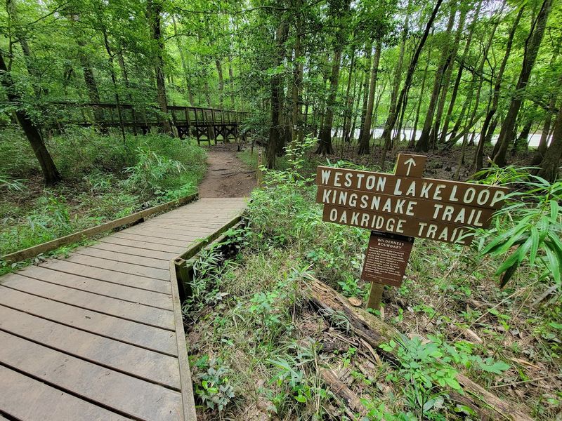 Congaree National Park - Hopkins, Richland County