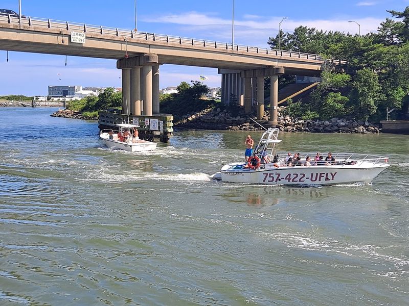 Rudee Flipper Dolphin Watching Tours