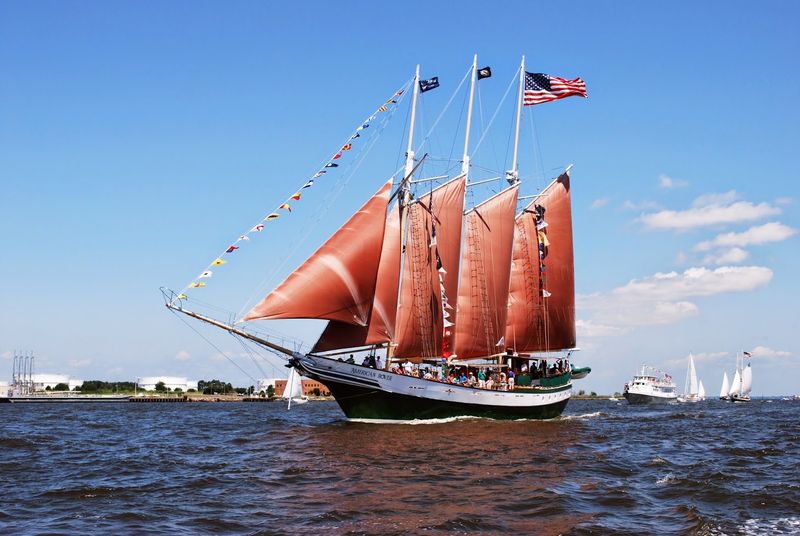 American Rover Sailing Cruises