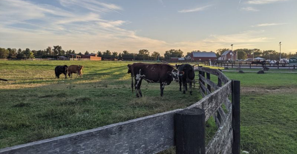 These 10 Virginia Experiences Delivered More Fun Than We Ever Expected For Under $20