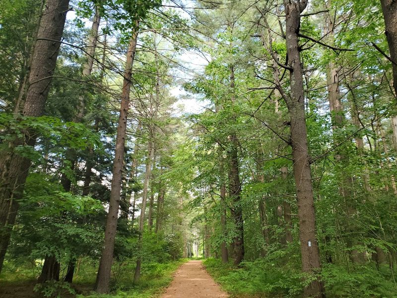 White Memorial Conservation Center - Litchfield, Litchfield County