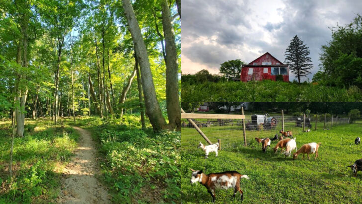 These 11 Connecticut Wildlife Parks Are Perfect For Your Next Family Adventure