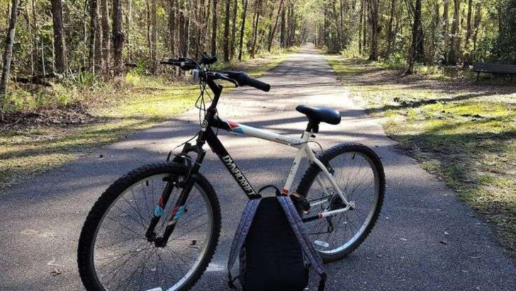 These 11 Florida Bike Trails Are Perfect For Beginner Cyclists