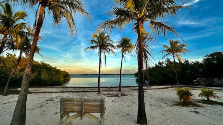 These 11 Florida Campgrounds Are Surrounded By Incredible Natural Beauty