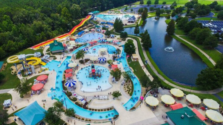 These 11 Georgia Adventure Parks Belong On Your Summer Bucket List