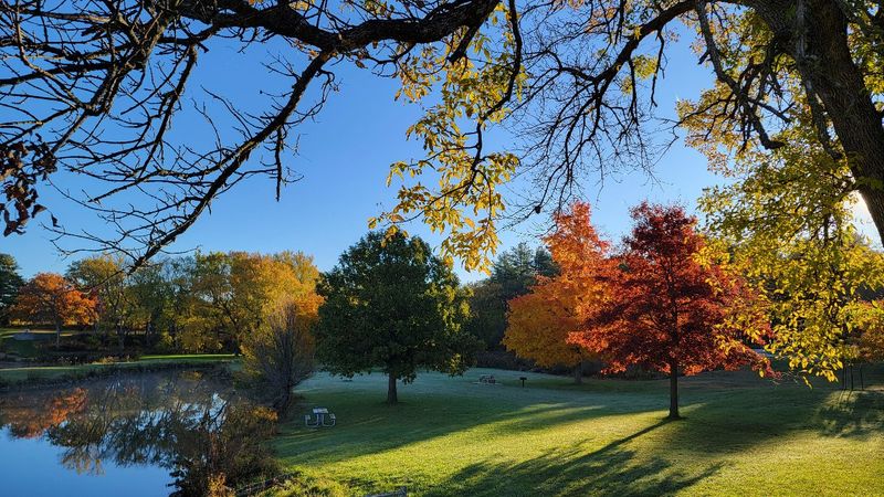 Backbone State Park, Dundee, Delaware County