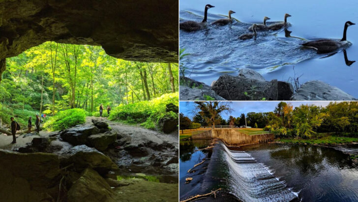 These 11 Iowa Wildlife Parks Prove Great Adventures Don’t Need To Be Far From Home