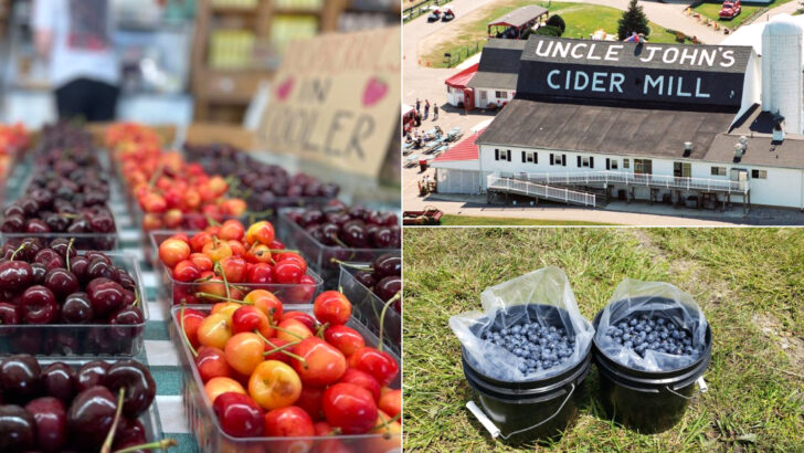 These 11 Michigan Berry-Picking Spots Are Worth Filling Your Cooler For
