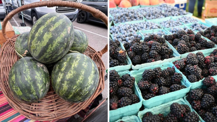 These 11 Ohio Farmers Markets Are A Must-Visit For Fruit Lovers