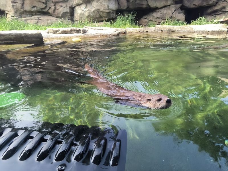 Riverbanks Zoo and Garden - Columbia, Richland County