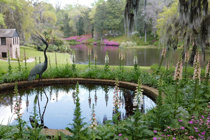 Middleton Place - Charleston, Charleston County