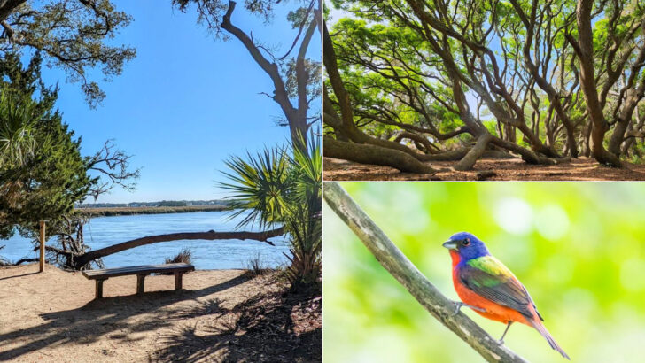 These 11 South Carolina Wildlife Parks Are Perfect For Animal Lovers Of All Ages