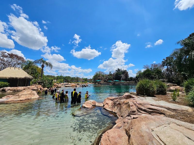 Discovery Cove &mdash; Orlando