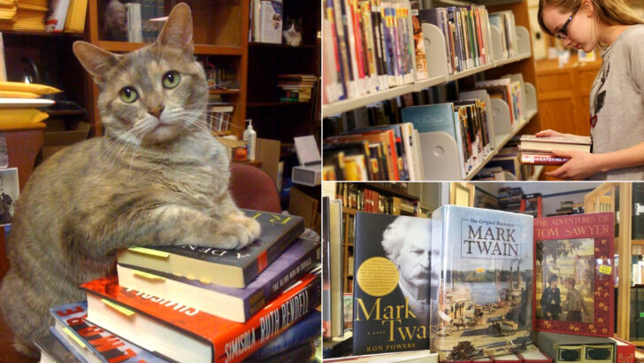 These 13 Iowa Bookstores Made Us Want to Stay Just One More Hour