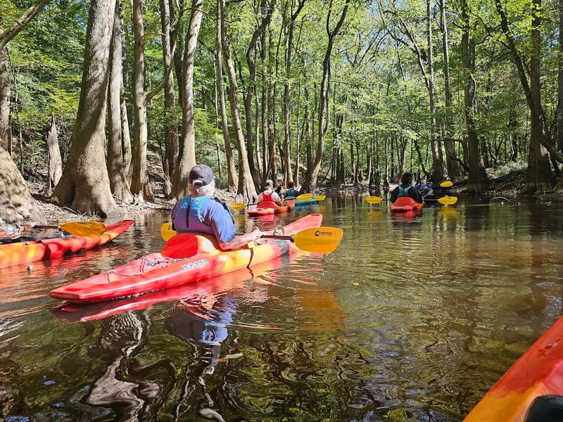 Congaree National Park, Hopkins, Richland County