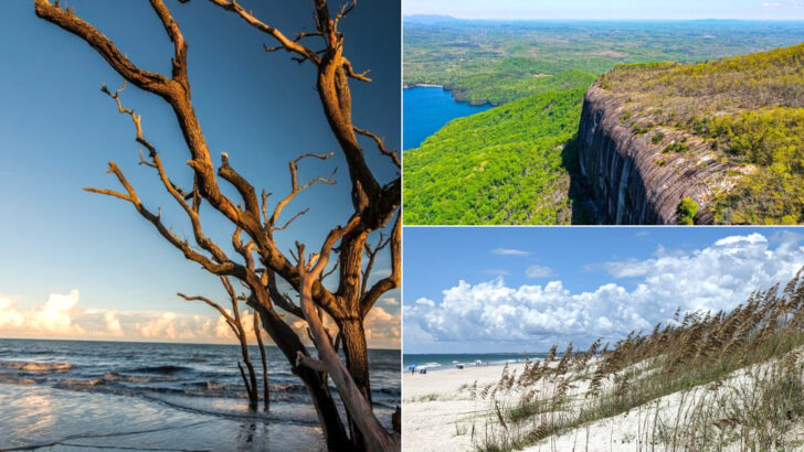 These 13 Peaceful South Carolina Parks Make It Surprisingly Easy to Forget About Your Phone