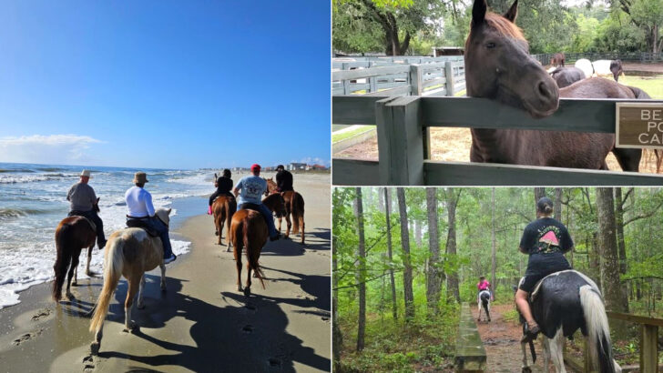 These 13 South Carolina Horseback Riding Trails Let You See the State From a Different Perspective