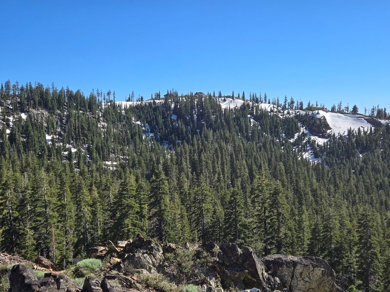 A Gold Rush Ghost Hidden in the Sierra