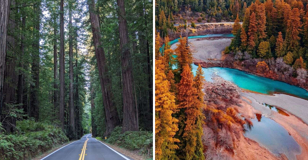 This California 31-Mile Drive Feels Like a Journey to Another Planet