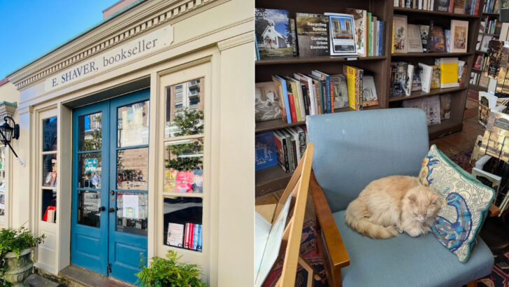 This Charming Savannah Bookstore Has Been A Georgia Favorite For Generations