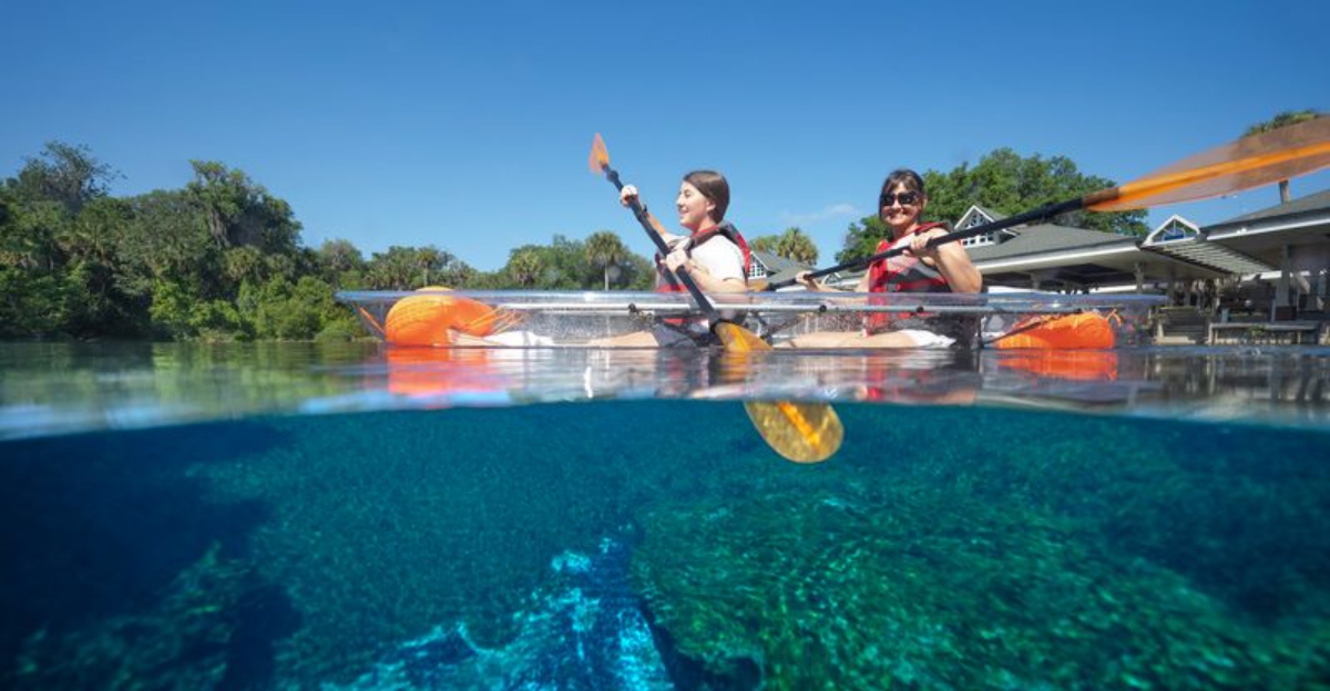 This Florida Kayaking Adventure Takes You Across Crystal-Clear Springs Where You Can See Beneath The Water