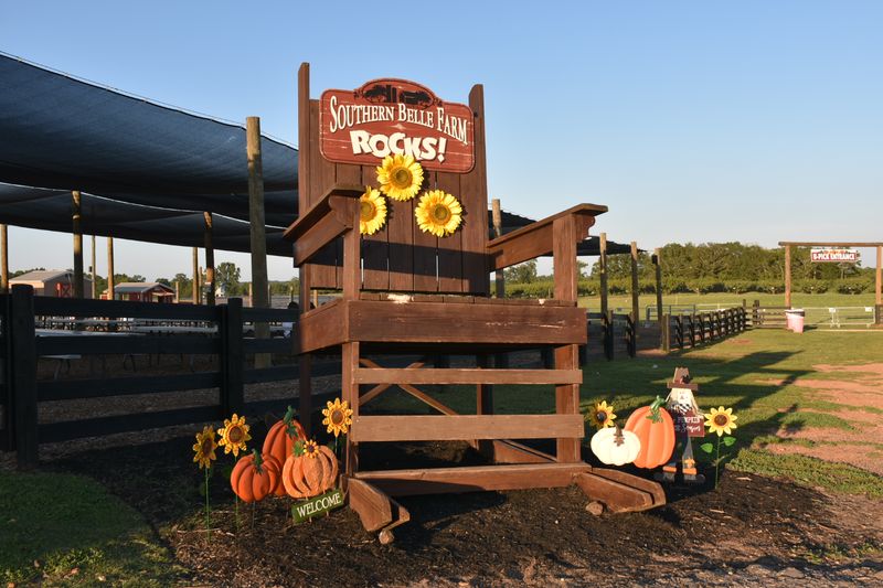 A Family Farm That Has Become a Georgia Tradition