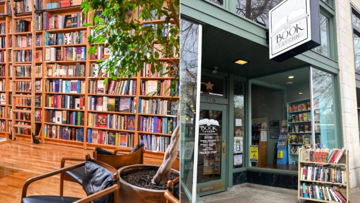 This Independent Georgia Bookstore Has Been An Augusta Favorite For Book Lovers For Years