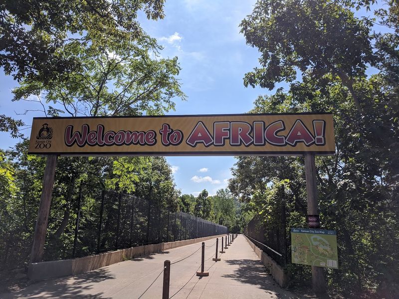 Why This Overnight Zoo Experience Feels Like a Real-Life Safari