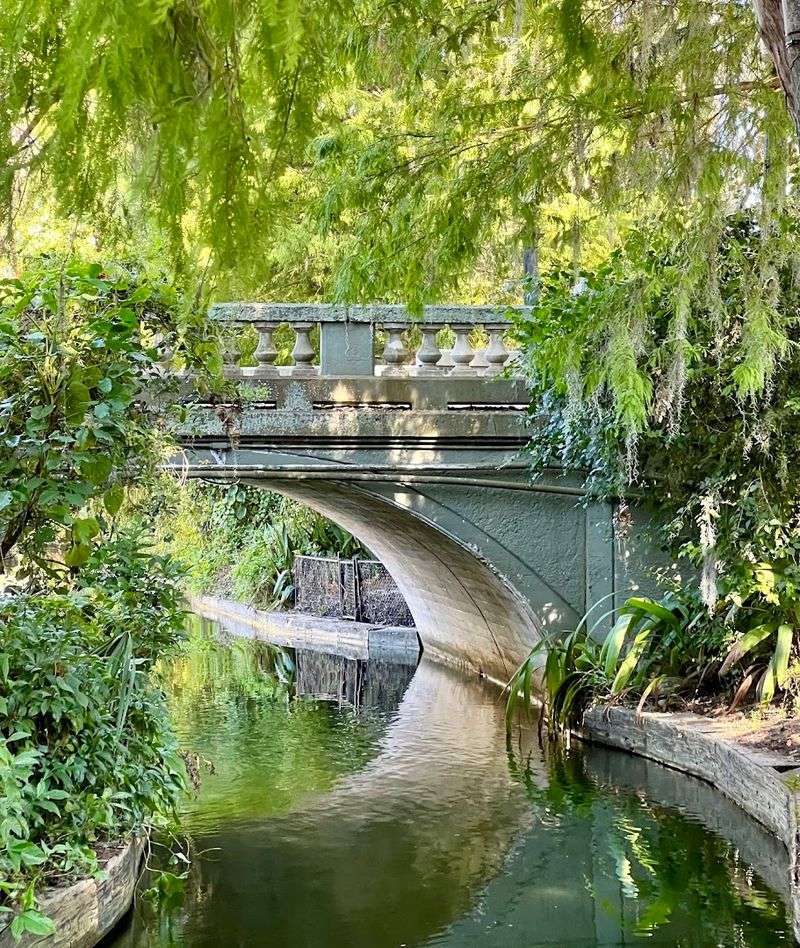 A Hidden Waterway That Feels Like Another World
