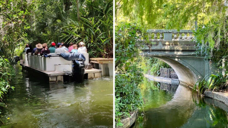 This Otherworldly Florida Canal Looks More Like a Dream Than a Real Destination