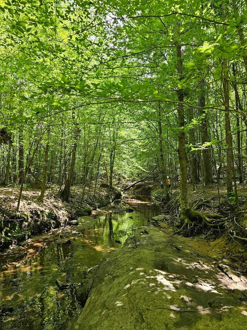 A Hidden Wilderness Just Minutes From Downtown