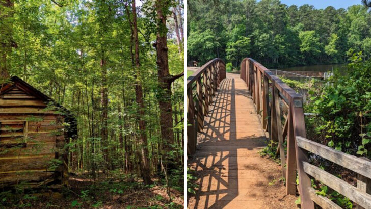 This Peaceful Forest Escape Near Raleigh Feels A World Away From City Life