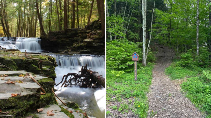 This Peaceful Pennsylvania State Park Lets You See Three Waterfalls in a Single Visit
