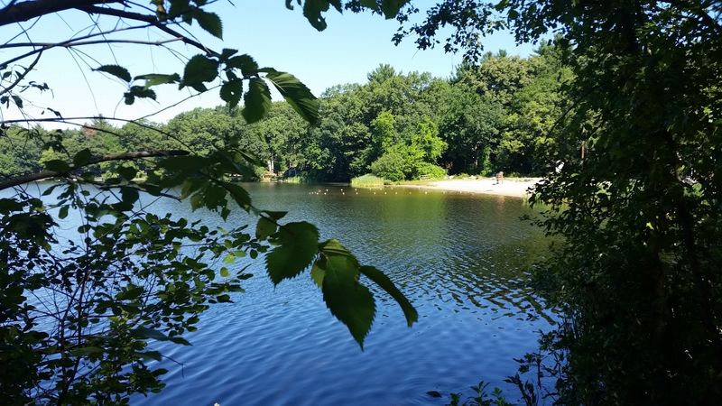 A Small Beach That Feels Like a Secret