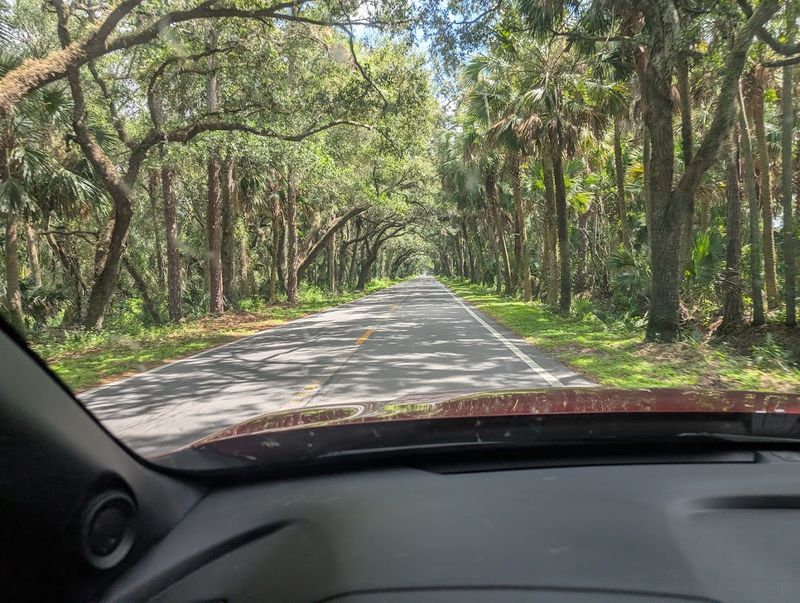 Martin Grade Scenic Highway: A Hidden Drive Through Old Florida