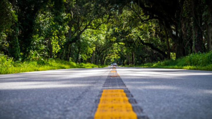 This Short Florida Drive Delivers One of the State&rsquo;s Most Memorable Scenic Experiences
