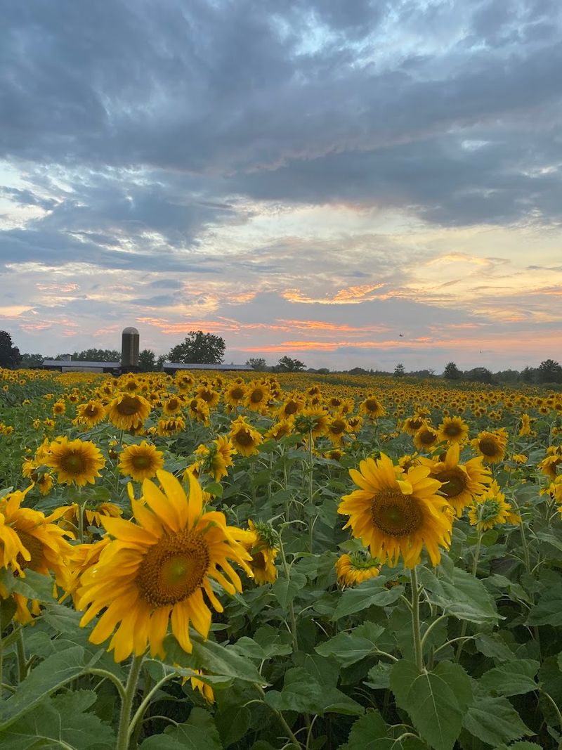 Shady Acres Farm Ohio