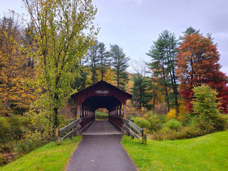 Allegany State Park (Salamanca)