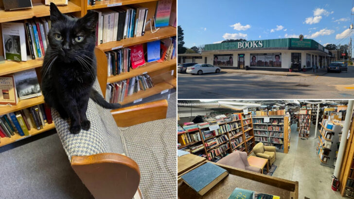 Thousands Of Rare And Out-Of-Print Books Fill This Hidden Georgia Literary Treasure