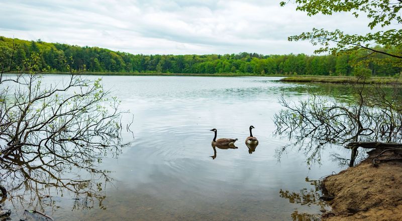 Moss Lake Nature Sanctuary, Eagle Bay, Herkimer County