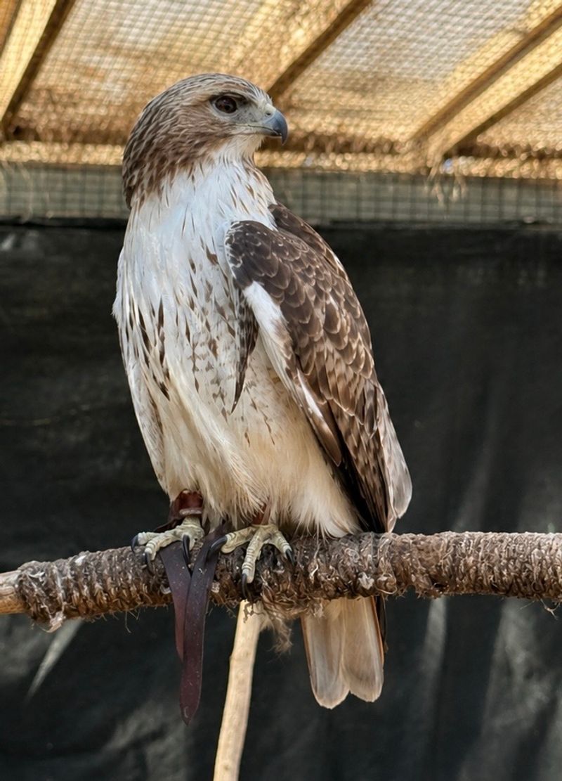 Quogue Wildlife Refuge, Quogue, Suffolk County