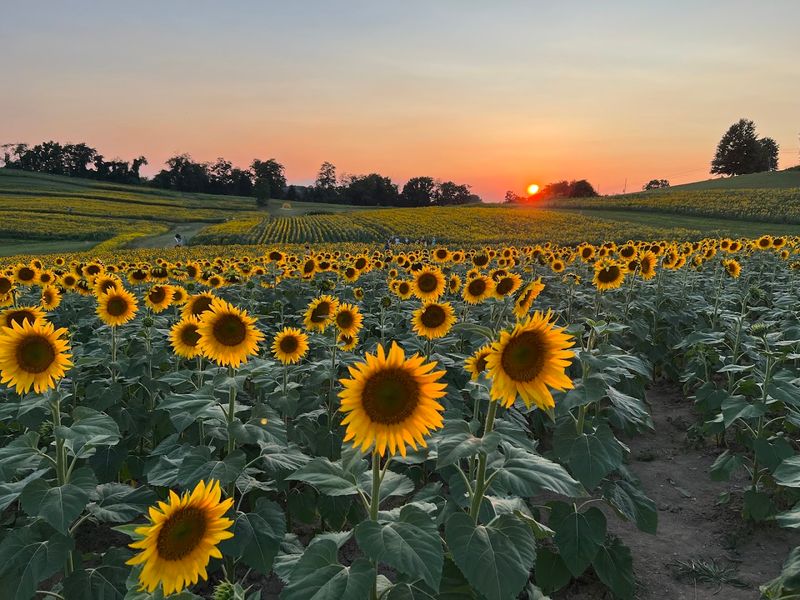 Setting Realistic Expectations for Your Visit
