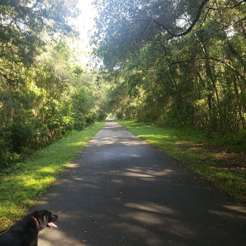 Withlacoochee State Trail (Central Florida)