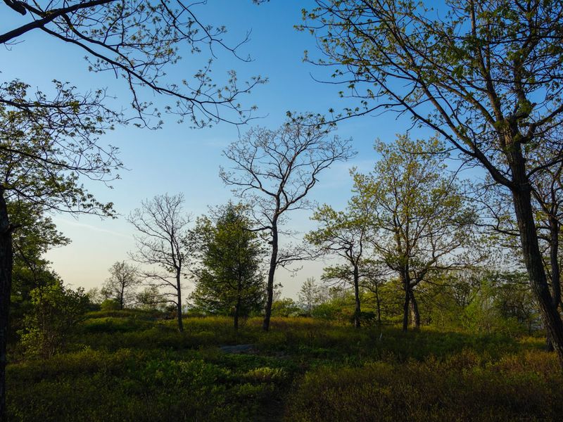 Rock Shelter Trail - Tomkins Cove, Rockland County