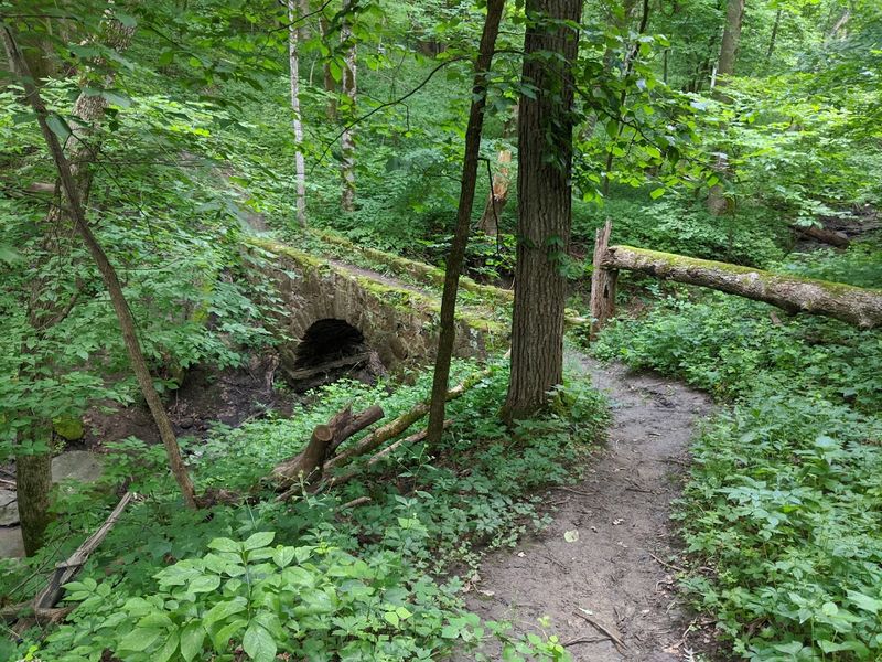 Historic Stone Bridges Hidden in the Forest